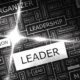 8 Questions that Determine a Great Leader