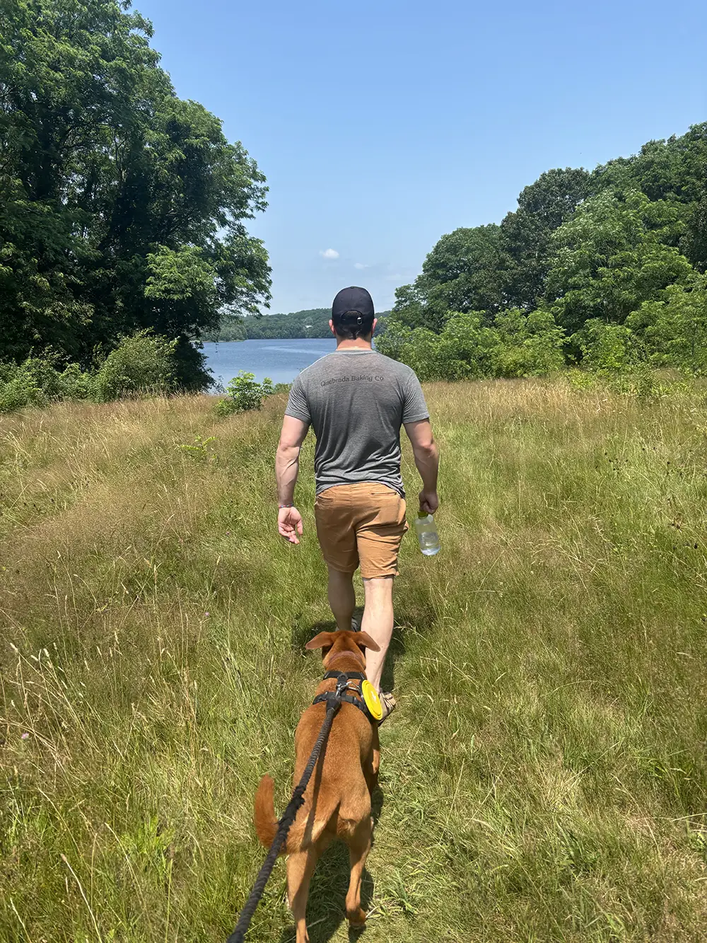 A man in a gray shirt and shorts walks on a grassy path toward a lake, holding a water bottle and leading a brown dog on a leash. Trees and blue sky are in the background.