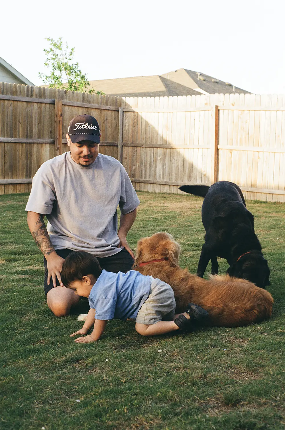 A man kneels on grass beside a toddler crawling and two dogs, one black and one golden, in a fenced backyard on a sunny day.